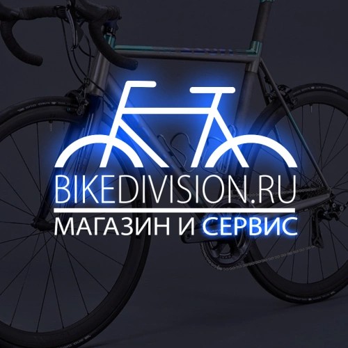 SEO продвижение сайта интернет-магазина велосипедов BIKEDIVISION
